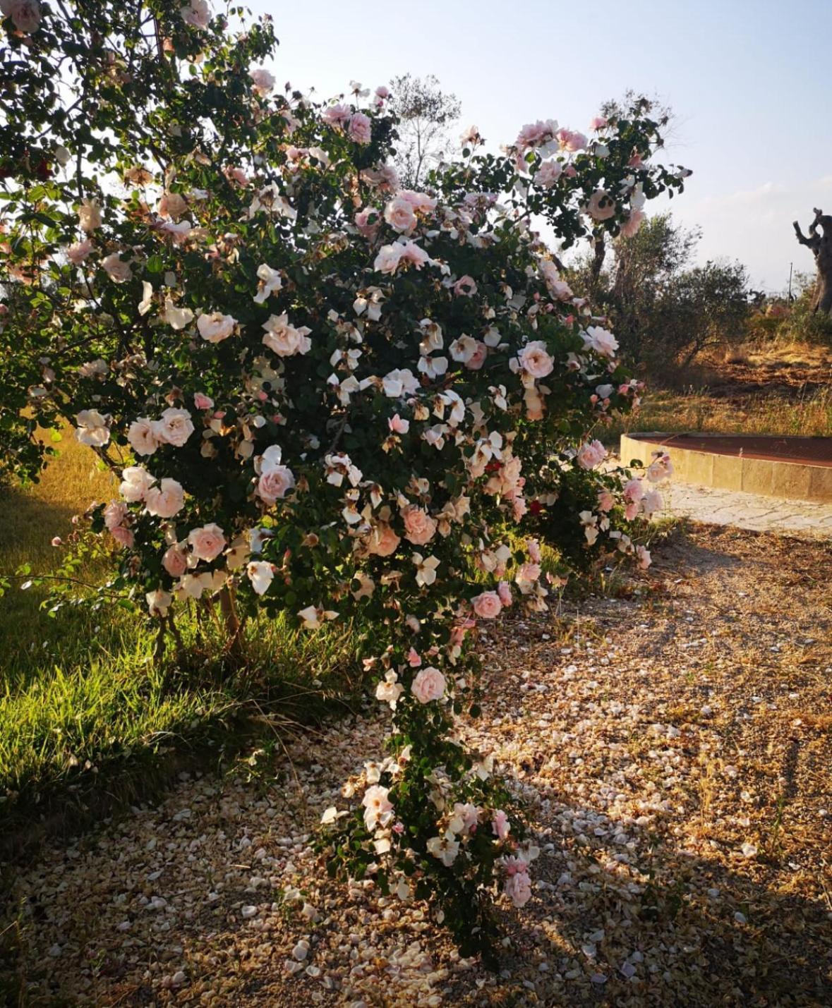 Masseria Le Celline Nardo Exterior photo